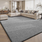 Carpet Rugs Living Room Large Area