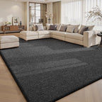 Carpet Rugs Living Room Large Area