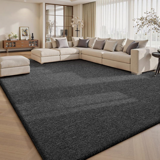 Carpet Rugs Living Room Large Area