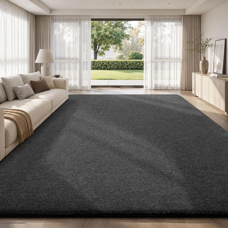 Extra Large Rugs Living Room Carpet