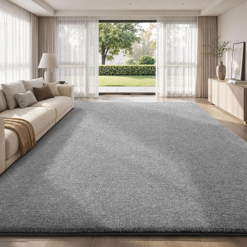 Extra Large Rugs Living Room Carpet