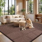 Carpet Rugs Living Room Large Area
