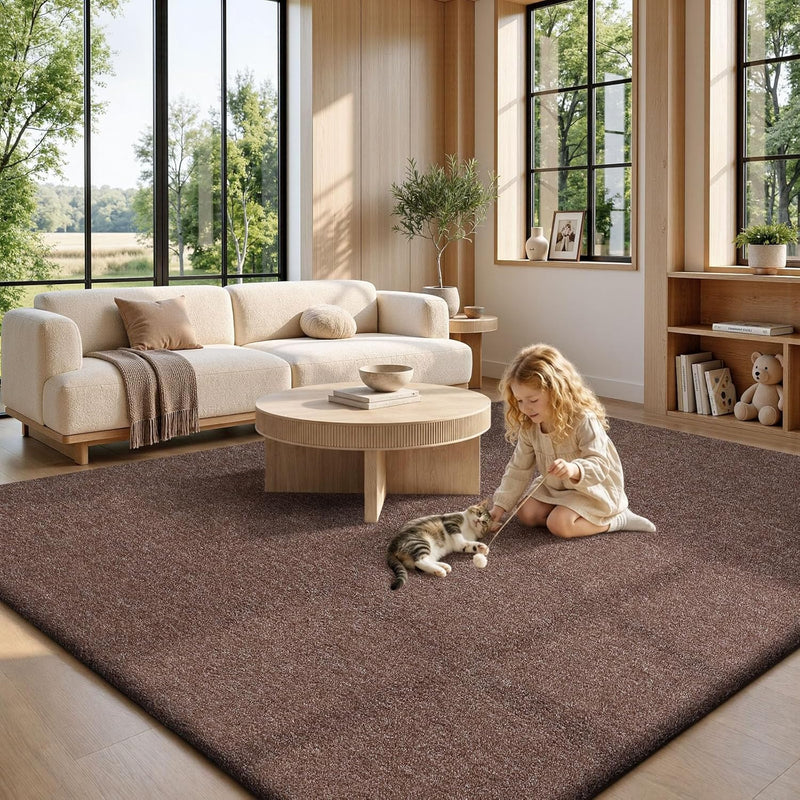 Extra Large Rugs Living Room Carpet