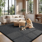 Carpet Rugs Living Room Large Area
