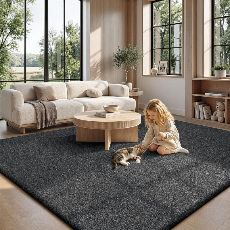 Extra Large Rugs Living Room Carpet