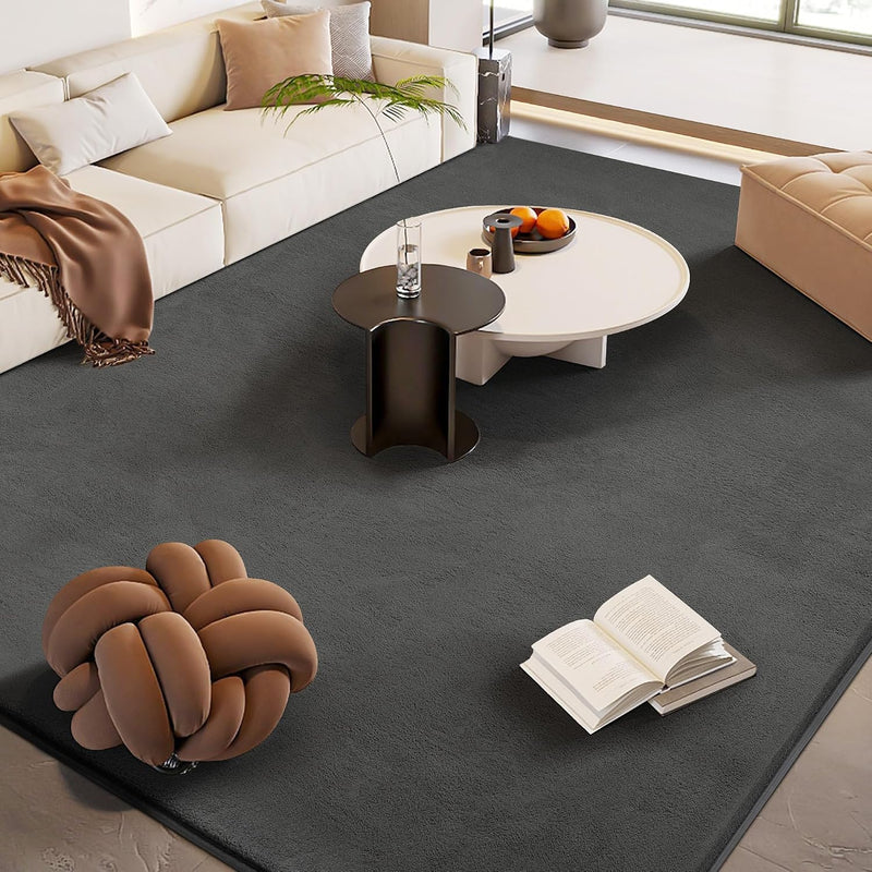 Carpet Rugs Living Room Large Area Rug 160