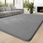Carpet Rugs Living Room Large Area Rug 160