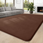 Carpet Rugs Living Room Large Area Rug 160