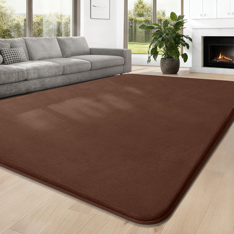 Carpet Rugs Living Room Large Area Rug 160