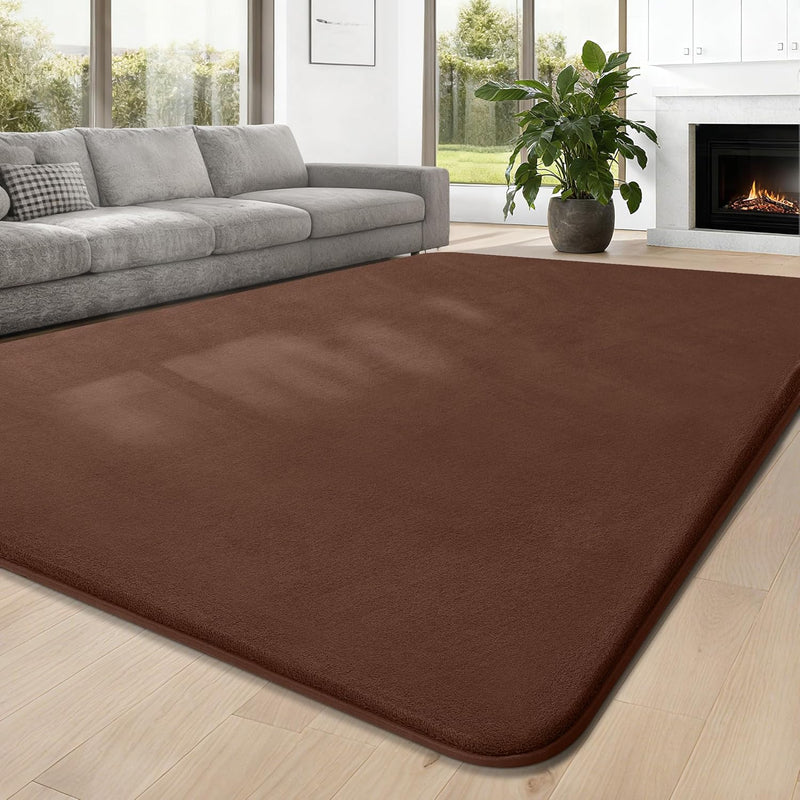 Carpet Rugs Living Room Large Area Rug 200