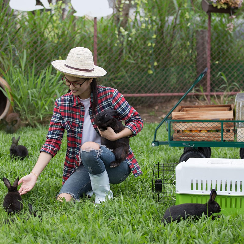 Heavy-Duty Cart Practical Garden Trolley Pneumatic Wheels