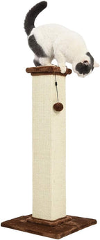 Cat Scratching Post