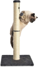 Cat Scratching Post