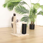 Cat Scratching Post