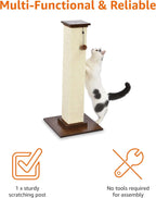 Cat Scratching Post