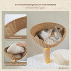 Cat Tree 33''=