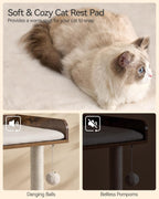 Cat Tree for Large Cats Wooden All Ages