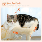 Cat Tree with Scratching Pad and Hammock Tower