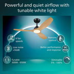Ceiling Fan with LED Light 3 Blades 107