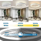 Ceiling Fan with Light Flush Mount Modern