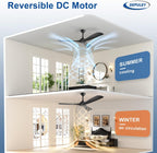 Ceiling Fan with Light Modern: 52 Inch