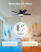Ceiling Fan with Light Remote Control 36" 42