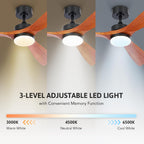 Ceiling Fan with Light Remote Control 52" Modern