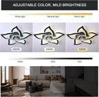 Ceiling Fan with Light Remote Control 62.5CM Low