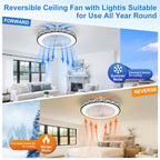 Low Profile Ceiling Fans with Lights and Remote