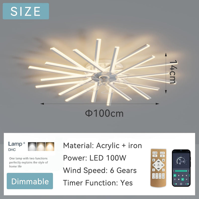Ceiling Fans with Lights Flush Mount Fan