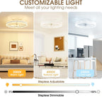 Ceiling Fan with Lights Remote 3000lm Dimmable