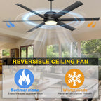 Ceiling Fan with Lights Remote App