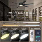 Ceiling Fan with Lights Remote App