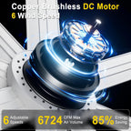 Ceiling Fan with Lights Remote App