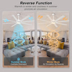 Ceiling Fan with Lights Remote App