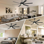 Ceiling Fan with Lights Remote App