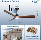 Ceiling Fan with Light Modern: 52 Inch