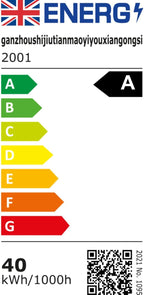 Ceiling Fans with Lights