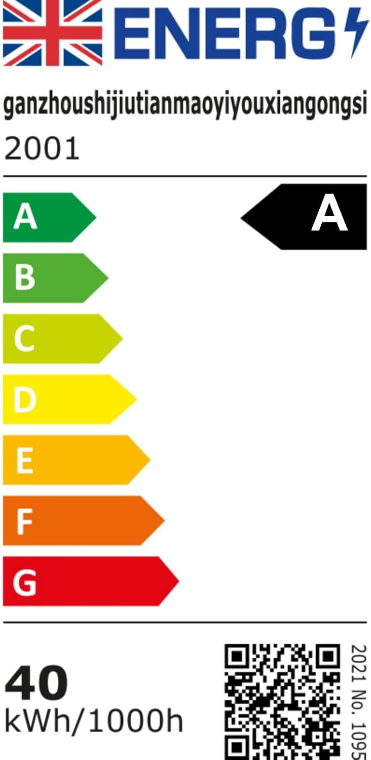 Ceiling Fans with Lights
