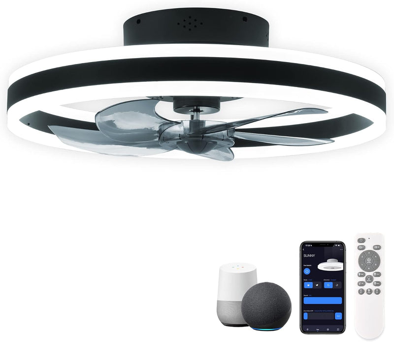 Ceiling Fans with Lights