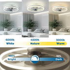 Ceiling Fans with Lights