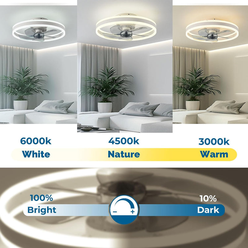 Ceiling Fans with Lights