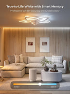 Ceiling Fans with Lights