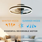 Ceiling Fans with Lights