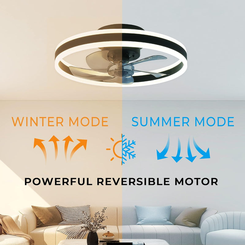 Ceiling Fans with Lights