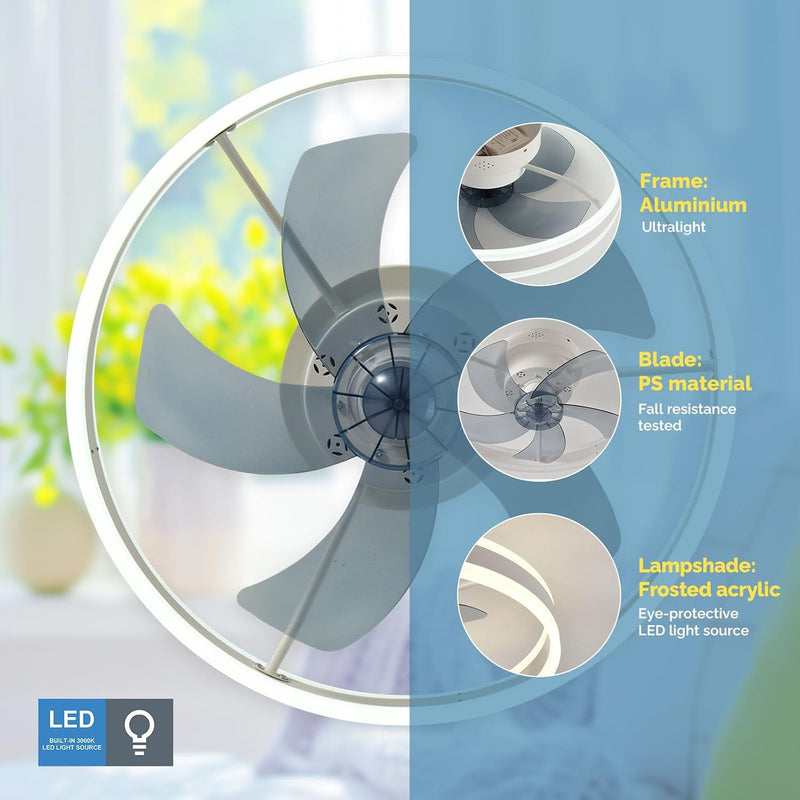 Ceiling Fans with Lights
