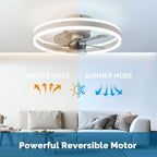 Ceiling Fans with Lights