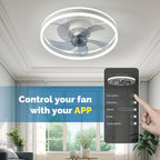 Ceiling Fans with Lights