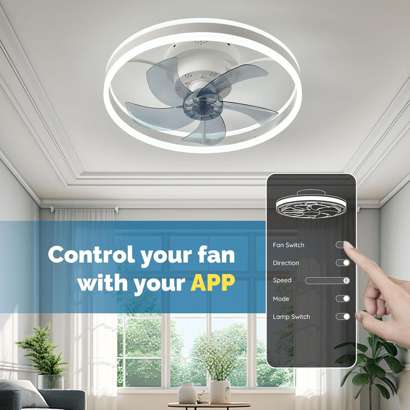 Ceiling Fans with Lights