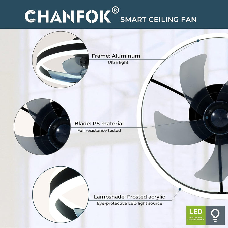 Ceiling Fans with Lights